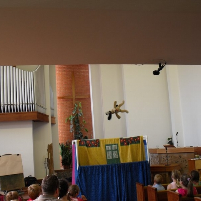 gynap2011_049