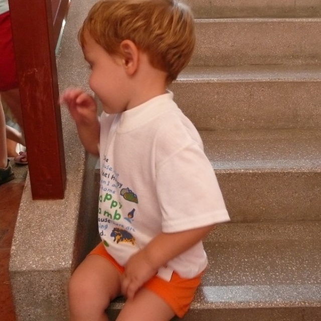 tabor_eletkep00051