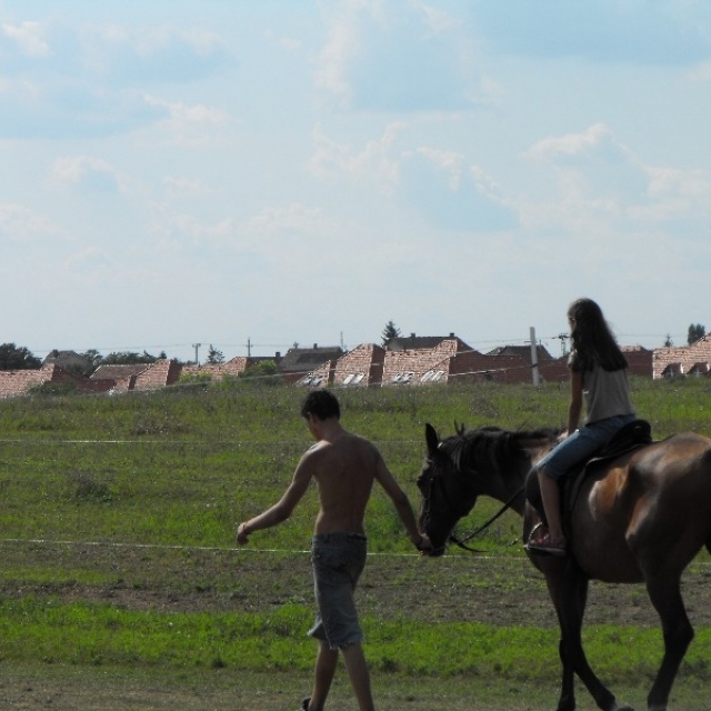 tabor_lovarda00181