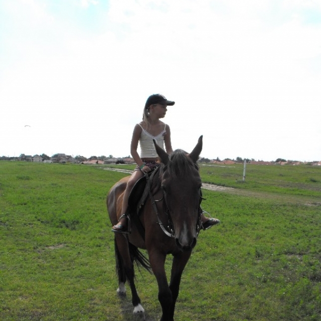 tabor_lovarda00238