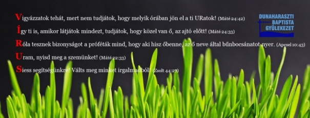 a látás fajtái